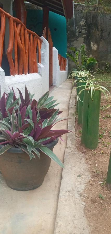 Induwara Guest Hotel Ella Luaran gambar